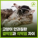 해오름동물병원 - 성남시 중원구 희망로 402 | 해오름동물병원