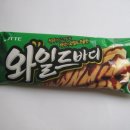 와일드바디 이미지