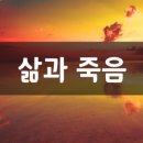 삶 - 그 언저리 이미지