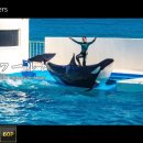 태평양목장 이미지