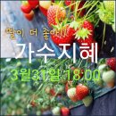 지혜가수 완주 삼례 딸기 대축제 공연 이미지