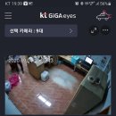 오창주유소 이미지