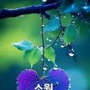행복한아침