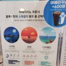 서초 남부터미널 카페 블루샥 서초남부점 샥라떼 후기