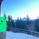 융프라우 이미지