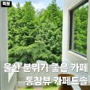 울산 북구 호계 신천동 카페 추천 카페드솔 분위기 좋은 카페 호계시장 근처 통창뷰 맛집 주차 내돈내산