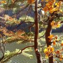 신성공원 이미지