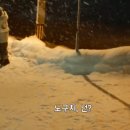 하츠코이 이미지