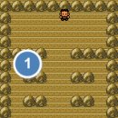 청풍체육관 이미지