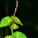 용암천2 이미지