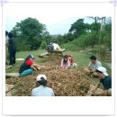 배꼽농원 이미지