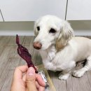 맘마드멍 이미지