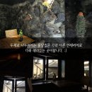 봉봉카페 이미지