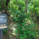 우면산 (서초약수터) 이미지