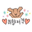 토토펫살롱 - 서구 율도로 104 | 토토펫살롱
