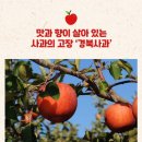 썬플러스 사과 설 명절 과일 선물세트 껍질째 꿀 사과 부사 효능