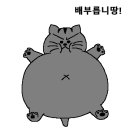 마포즉석모밀촌