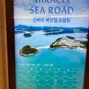 진도 쏠비치 신비의 바닷길 소삼도 산책길