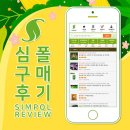 광일농원 | [9/4] 심폴 생생 구매 후기 🌱💚💯 (옥살리스 스테노린차, 동백 진주, 올리브나무)