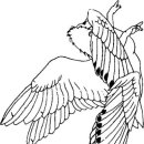 스랍(seraphs) Daum카페