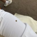 금오테니스장 이미지