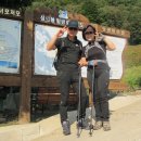 가보태양광발전소 이미지