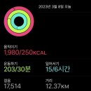 라임라잇(LIMELIGHT)
