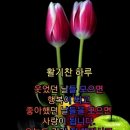 즐거운하루 이미지