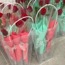 사파동122 이미지