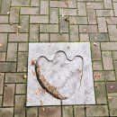 마분어린이공원 이미지