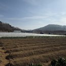 정촌면사무소 이미지