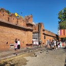 동방팜스 앞 | 태국 치앙마이 여행 준비 (티웨이, 태국 전자 입국 신고서 TDAC, 8박 9일 일정, 경비, 숙소, 여행 팁 등)