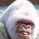 화물이야기 이미지