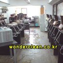 크린송