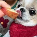 펜션누리 이미지