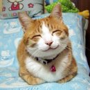 흐믓 이미지