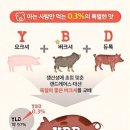 카미카츠 이미지