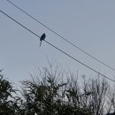 민재농장 이미지