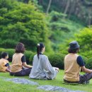 남도삼백리길(8코스) | 남도 사찰 템플스테이! 명품 숲길 산책! 지친 영혼을 깨우는 남도 기행