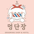 멍단장 이미지