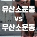 필라스타 이미지