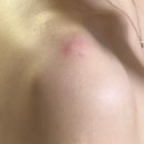 (주)꼬까신 | 월간 이단비 02월