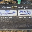 자락당주