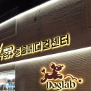 도그랩 이미지