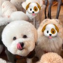 잠두유치원 이미지