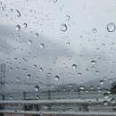 울트라반점 - 창원시 마산회원구 광려로 15 | 울트라반점
