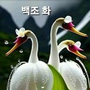 시어삼보(時於參步) 이미지