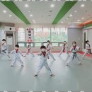 용인대꿈나무태권도장 이미지