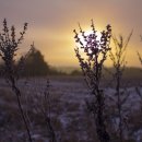 가평행정사 이미지