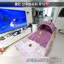 고고카케어 | 용인 산후마사지 복직근이개 케어 -3cm 출장 위더스산후케어 내돈내산 후기 👍